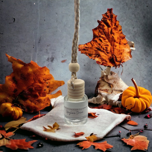 Fall Car Diffusers